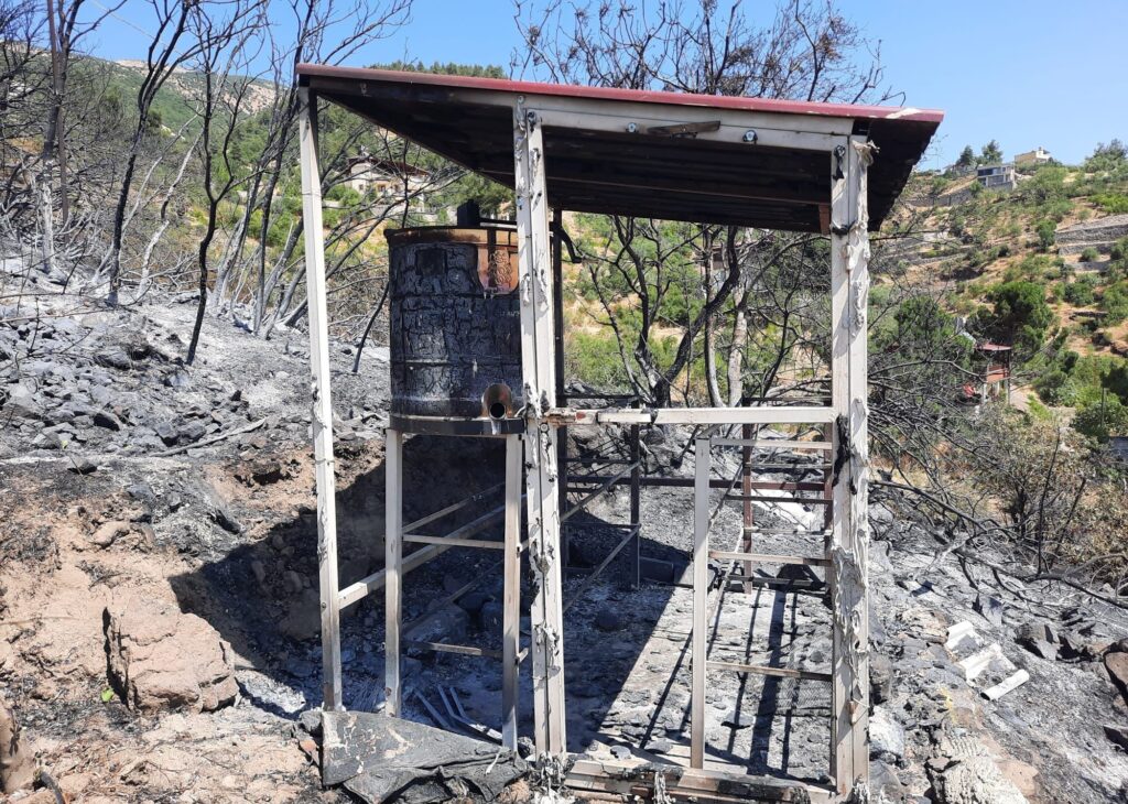 Kahramanmaraş'ta Orman Yangını
