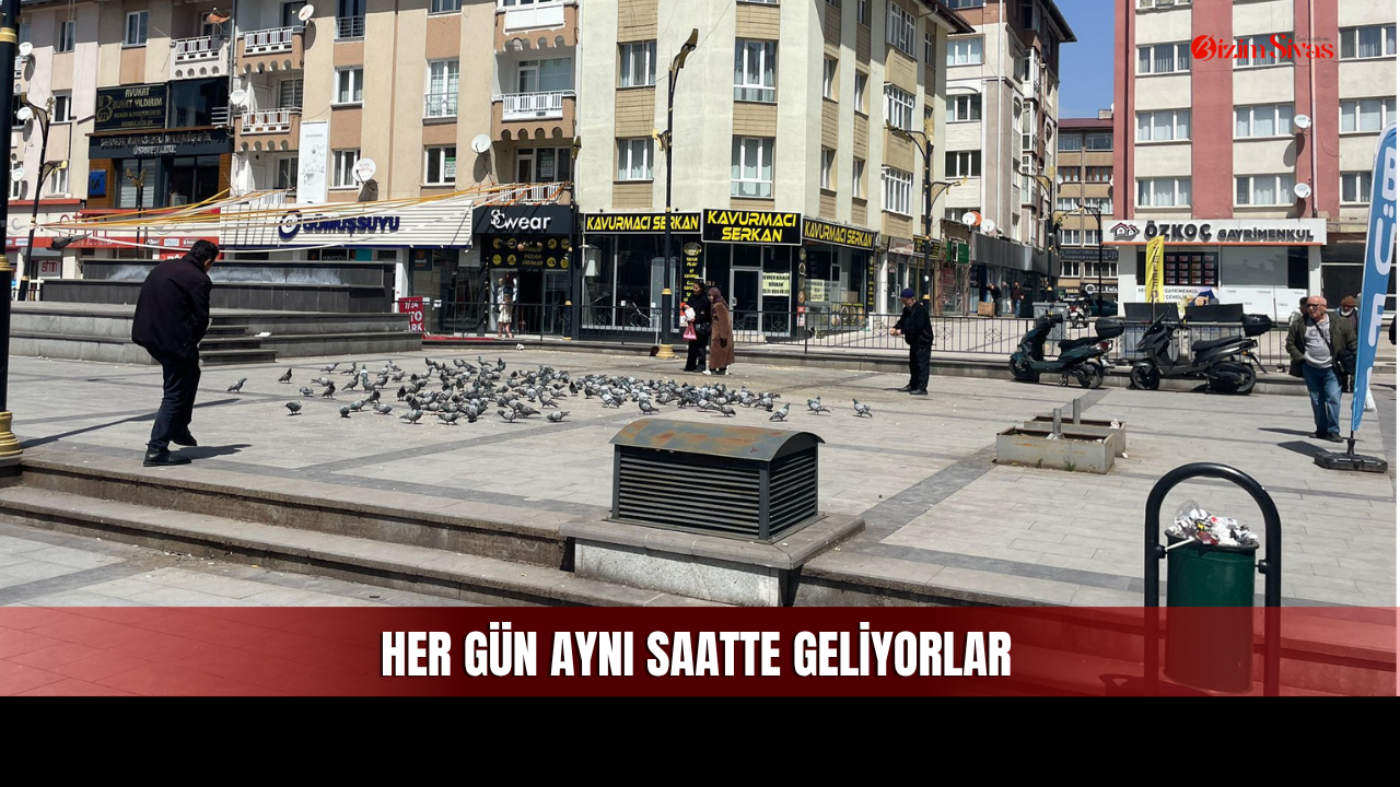 Fotoğraf Çeken de Var, Yem Getiren de