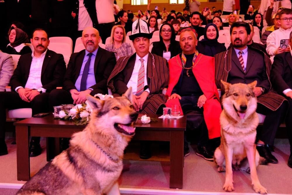 Sivas’ta Nevruz Coşkusu Kurtlar Sahneye Çıktı, Şahin Uçtu