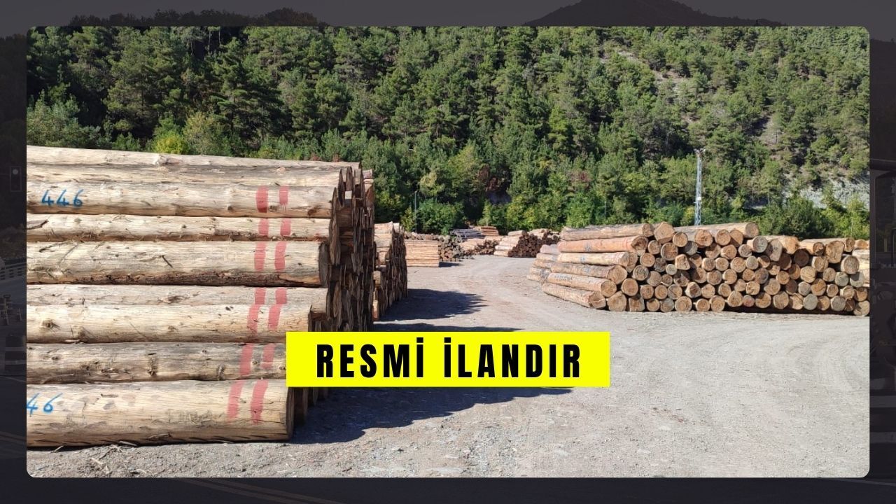 DEPO ŞEFLİĞİNE BAĞLI SİSORTA ORMAN DEPOSUNDA ORMAN EMVALİ İSTİFLEME İŞİ