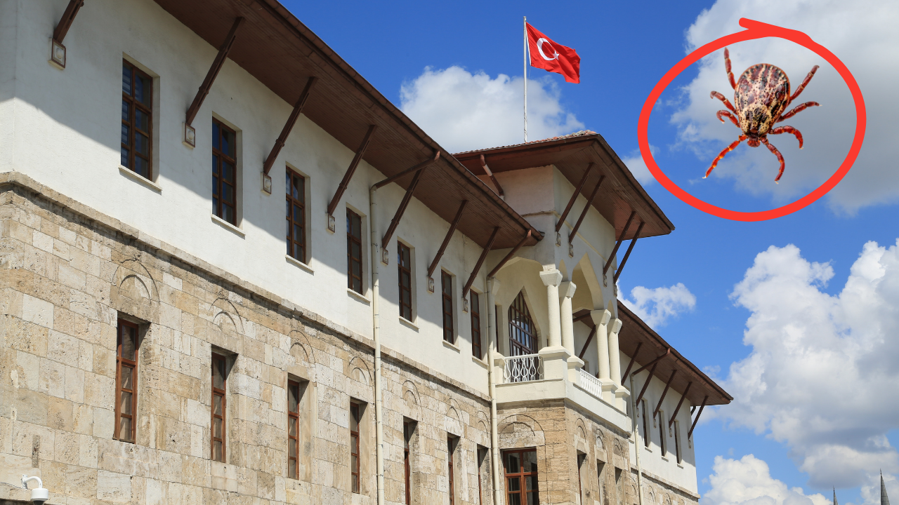 Dikkat ! Sivas Valiliği’nden Kene Uyarısı