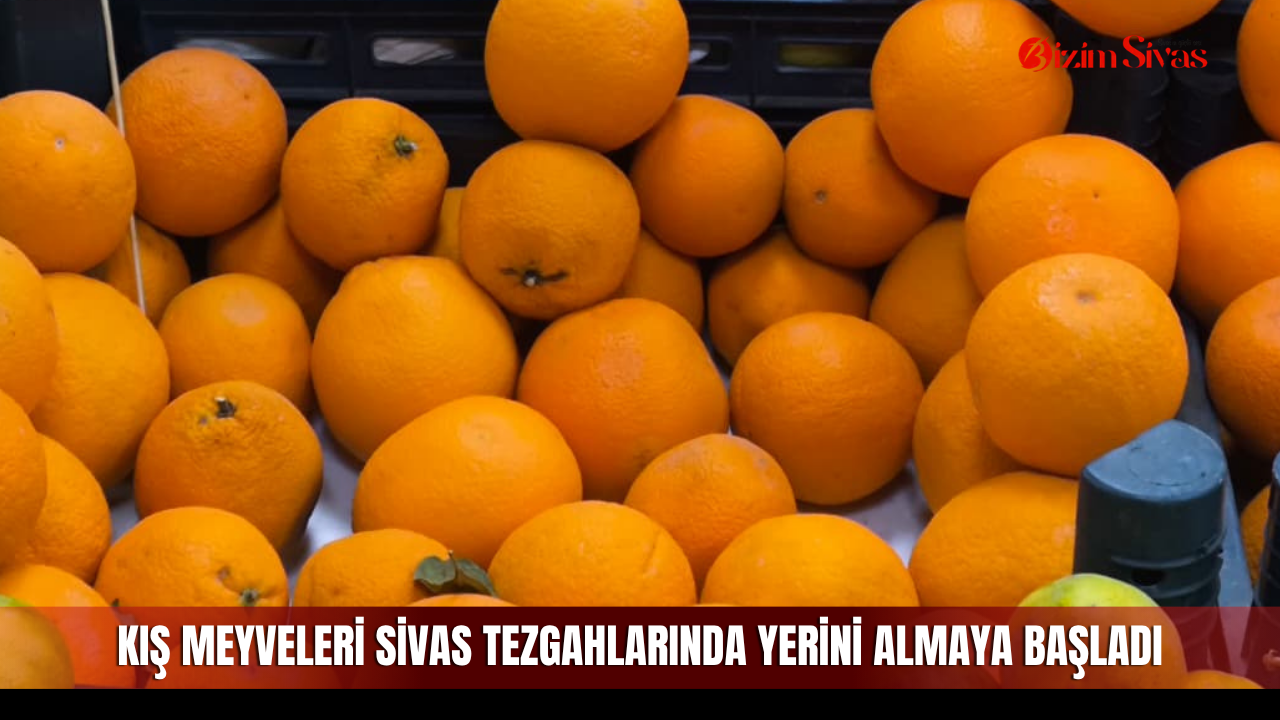 Kış meyveleri Sivas tezgahlarında yerini almaya başladı