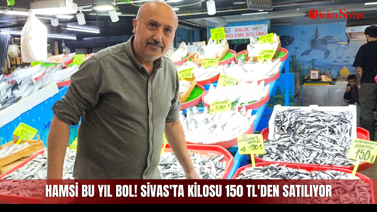 Hamsi bu yıl bol! Sivas'ta kilosu 150 TL'den satılıyor