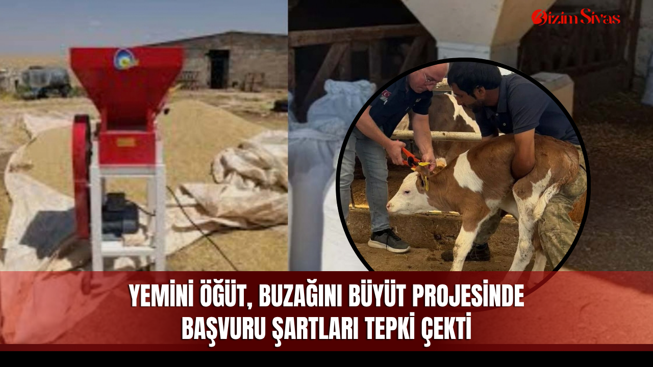 Yemini Öğüt, Buzağını Büyüt Projesinde başvuru şartları tepki çekti