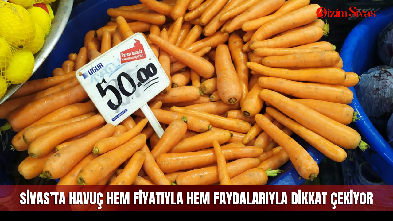 Sivas’ta havuç hem fiyatıyla hem faydalarıyla dikkat çekiyor