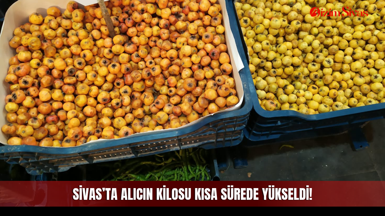 Sivas’ta alıcın kilosu kısa sürede yükseldi!