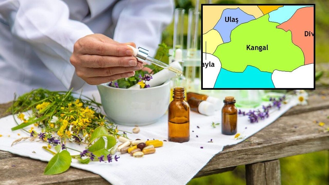 Sivas'ın o ilçesi aromatik/tıbbi bitki üretiminde lider