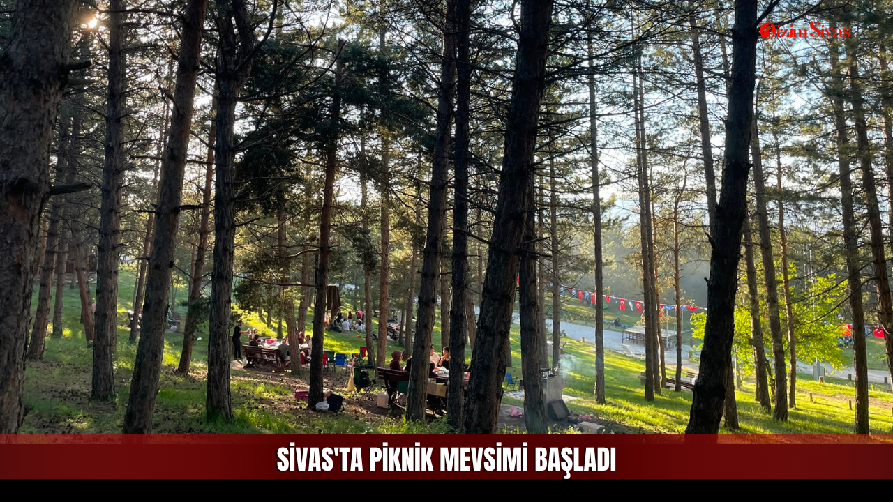 Güneşli Havayı Gören Mesire Alanlarına Koştu!