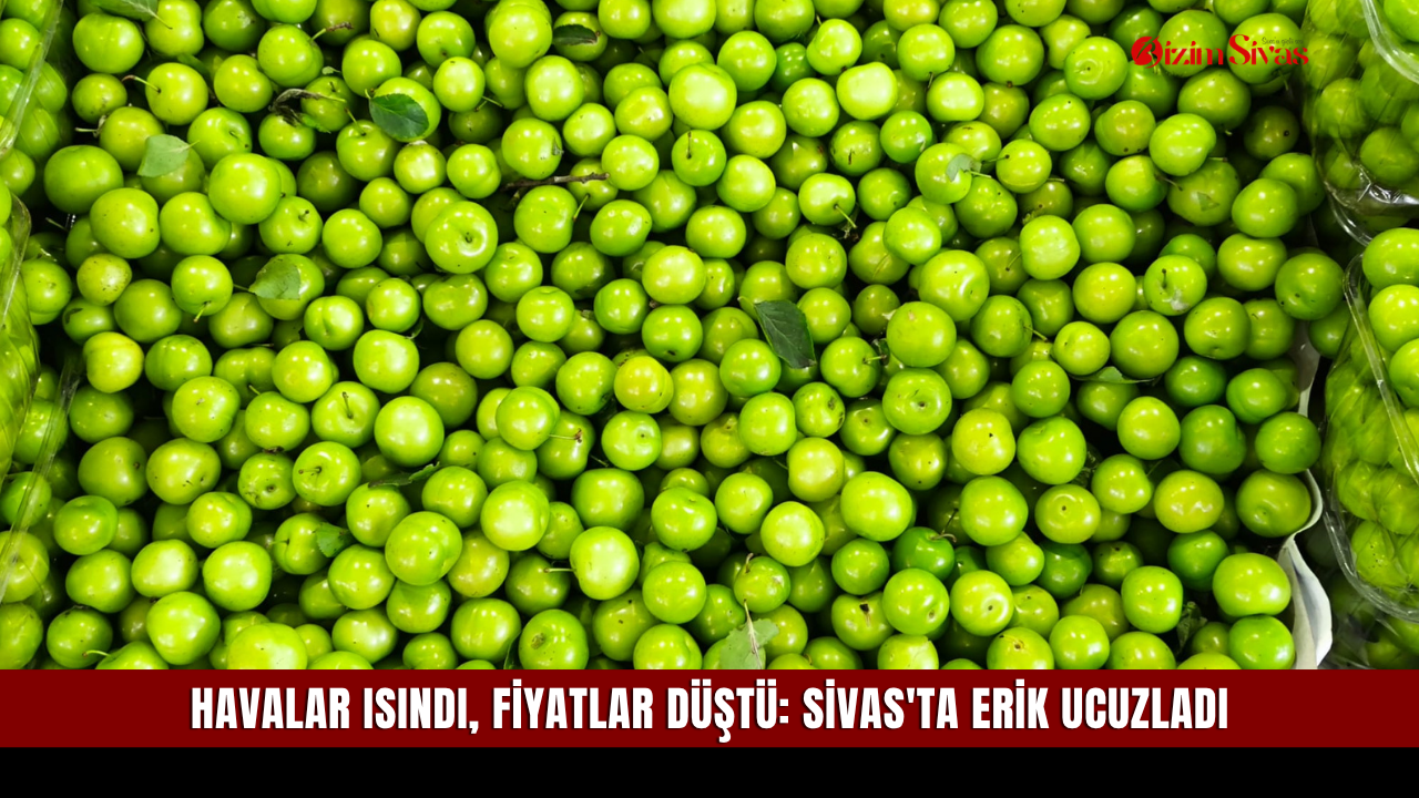 Havalar Isındı, Fiyatlar Düştü: Sivas'ta Erik Ucuzladı