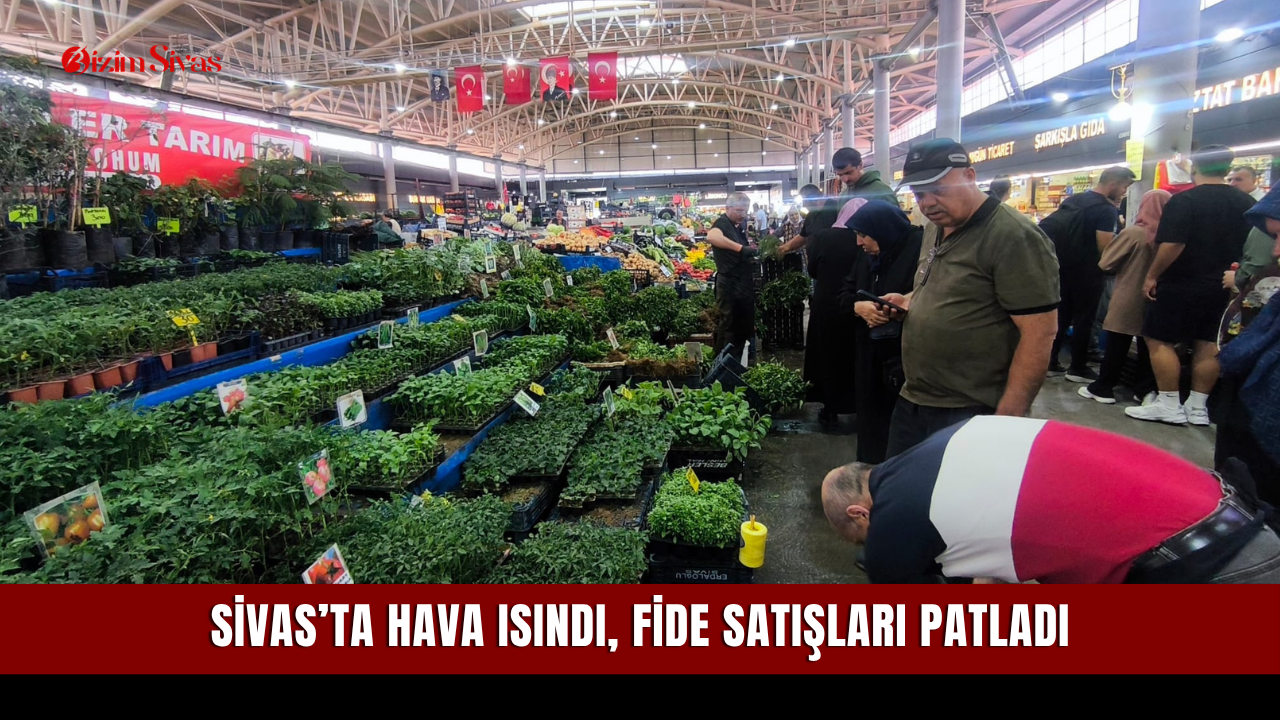 Sivas’ta Hava Isındı, Fide Satışları Patladı