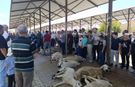 Kangallılar Yağmur Duasına Çıktı!