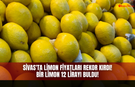 Sivas'ta limon fiyatları rekor kırdı bir limon 12 lirayı buldu!