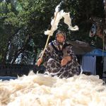 Sivas'ta yün sezonu başladı