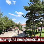 Sivas’ta yeşiliyle dikkat çeken Oğuzlar Parkı