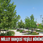 Sivas Millet Bahçesi Yeşile Bürünüyor