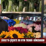 Sivas'ta çiçekte bu ayın trendi: Günebakan