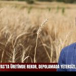 Sivas'ta üretimde rekor, depolamada yetersizlik!