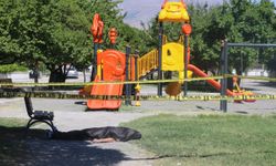 Erzincan'da parkta şüpheli ölüm