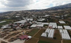 Tokat'taki küçük Antalya: Bu köy göç vermiyor göç alıyor