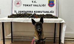 Bir araçta 2 kilo 300 gram esrar ele geçirildi