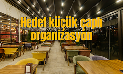 Hedef küçük çaplı organizasyon