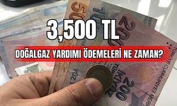 3,500 TL Doğalgaz Yardımı Ödemeleri Ne Zaman ?