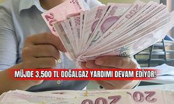 3,500 TL'ye Varan Doğalgaz Desteği Başvuruları E-devlet Üzerinden Devam Ediyor: İşte Başvuru Şartları Ve Süreci 