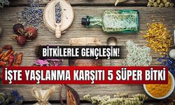 Bitkilerle Gençleşin! İşte Yaşlanma Karşıtı 5 Süper Bitki