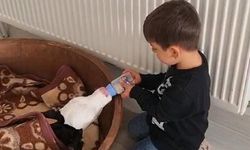 Buzağıyı biberonla besleyen çocuk yürekleri ısıttı