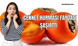 Cennet Hurması Faydası Şaşırttı  