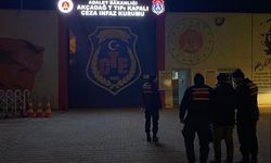 Jandarmadan “konteyner” dolandırıcılarına operasyon