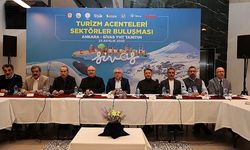 Sivas'ın turizm potansiyelini arttırmak için çalışmalar sürüyor
