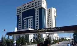 Tarım ve Orman Bakanlığı 7 bin 158 personel alacak