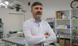 Uzmanı uyardı: “Bu dönemde ormanlık alanlardan uzak durun”