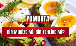 Yumurta Bir Mucize Mi, Bir Tehlike Mi? 