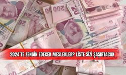 2024'te Zengin Edecek Meslekler? Liste Sizi̇ Şaşırtacak 