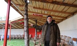 Ağaçlar kesilmedi ortaya ilginç görüntüler çıktı
