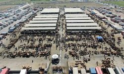 Bakan Yumaklı'dan Sivas'ta ki hastalığa ilişkin açıklama