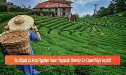 Bu Köyde Ev Arsa Fiyatları Tavan Yapacak: Rize'nin En Güzel Köyü Seçildi!