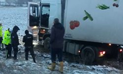 Direksiyon başında kalp krizi geçiren tır şoförü hayatını kaybetti