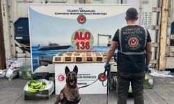 Gümrük Muhafaza ekipleri muz dolu konteynerde 77 kilogram kokain ele geçirdi