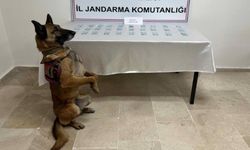 İran plakalı otobüste uyuşturucu ele geçirildi