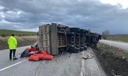 Islak yolda kontrolden çıkan tır devrildi