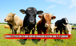 Kırmızı Et Fiyatları Alarm Veriyor! Ramazan'da Kıyma 500 TL'ye Çıkacak 