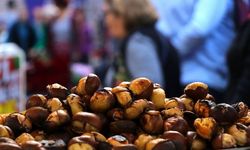 Kolesterolü düşürüyor, kanserden koruyor!