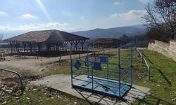 Şap hastalığı görülen ilçede hayvan pazarı kapatıldı