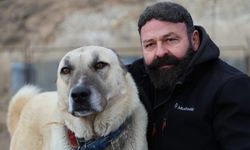 Sınır ötesi güvenliği için kangal tavsiyesi