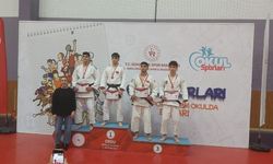 Sivas, Türkiye judo şampiyonasına damga vurdu