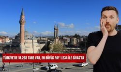 Türkiye'de 18.265 Tane Var, En Büyük Pay 1.234 ile Sivas'ta