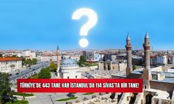 Türkiye'de 443 Tane Var İstanbul'da 114 Sivas'ta Bir Tane! 